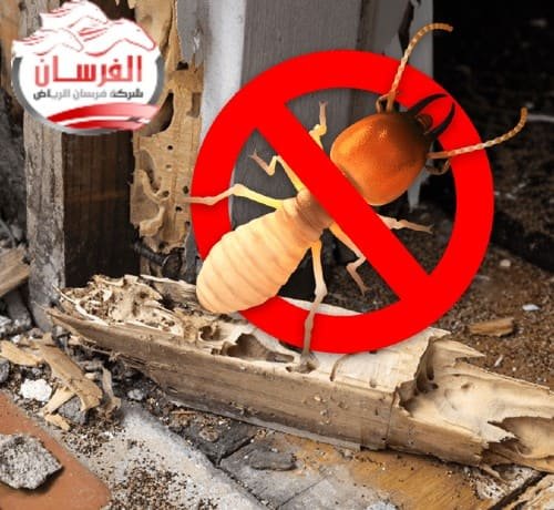 مبيدات النمل الابيض