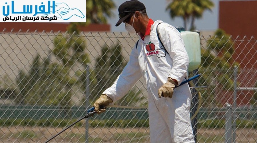 شركة فرسان الرياض لمكافحة بق الفراش