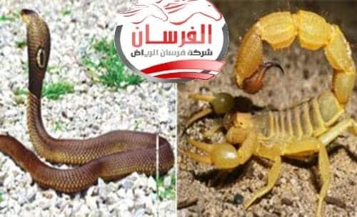مكافحة ثعابين وعقارب