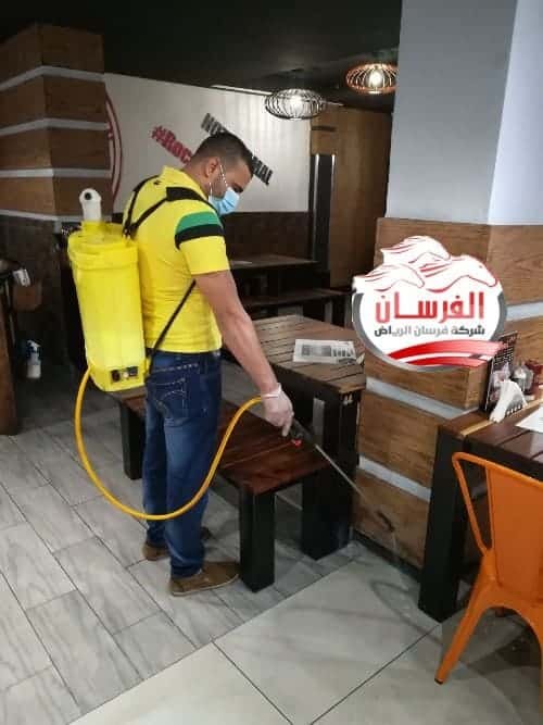 افضل شركة مكافحة حشرات