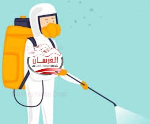 مكافحة حشرات بابها