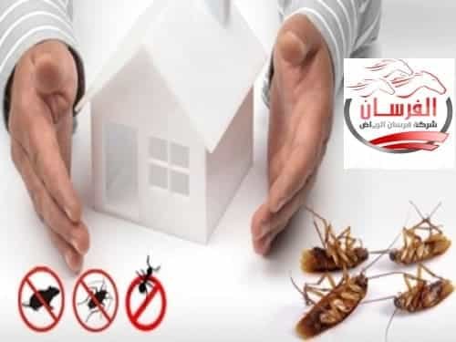 مكافحة حشرات بالرياض