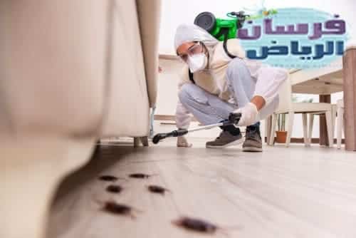 مكافحة حشرات