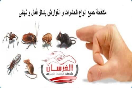 طرق مكافحة حشرات المنزل