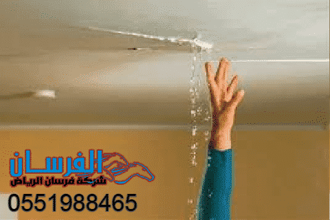 شركة كشف تسربات المياه بالرياض